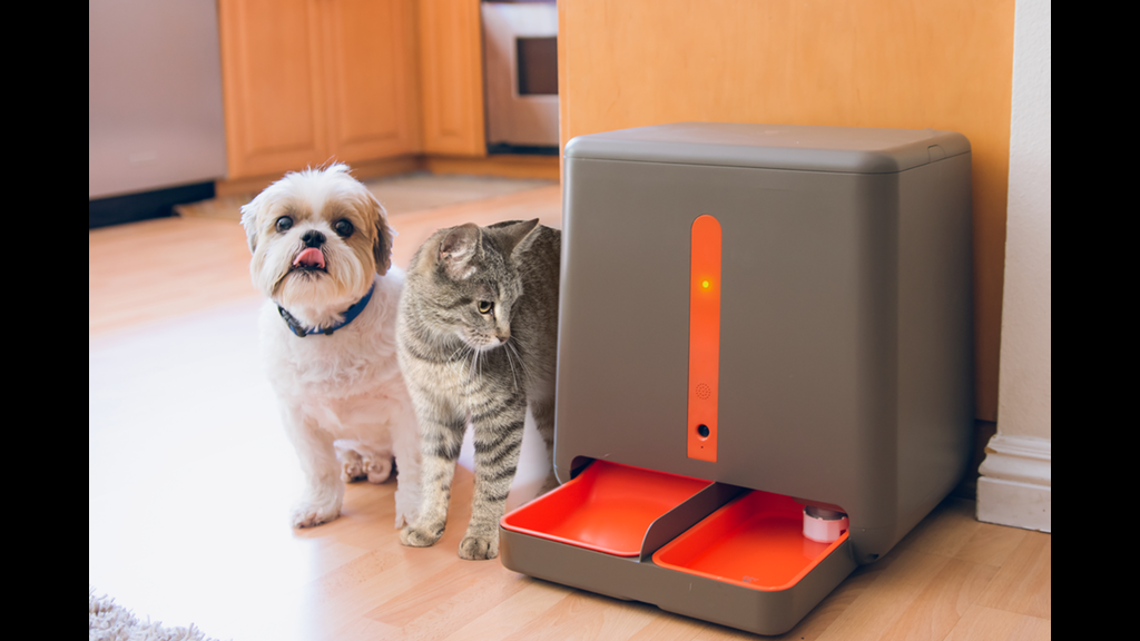 easyFeed อุปกรณ์ส่องสัตว์เลี้ยงภายในบ้านมาพร้อมกับระบบให้อาหารอัตโนมัติ