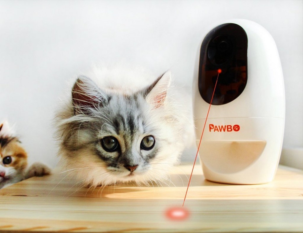Pawbo+ กล้องไร้สายสำหรับคนรักแมว